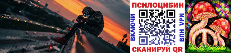 купить наркотики сайты  ссылка на мегу как зайти  Псилоцибиновые грибы мухоморы  Цивильск 